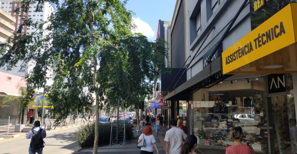 Foto: Jornal O Estado MS