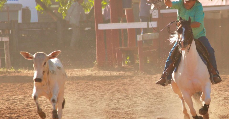 Foto: Arquivo/Fundesporte