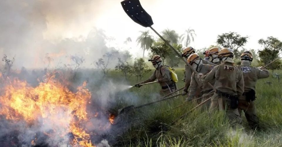 Fogo Pantanal