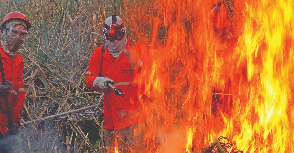 queimadas pantanal documentário “Jaguaretê-Avá: Pantanal em Chamas