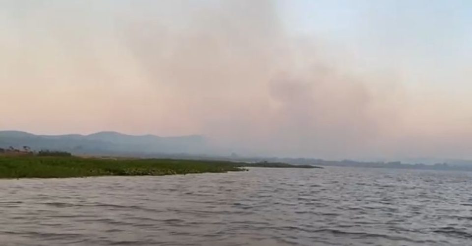 Fogo Pantanal