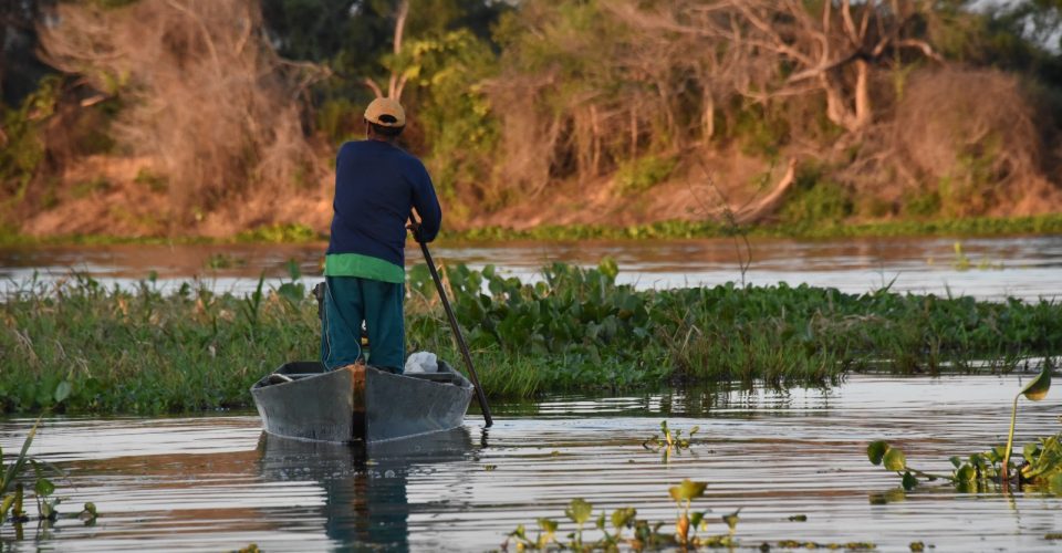 cheia no pantanal