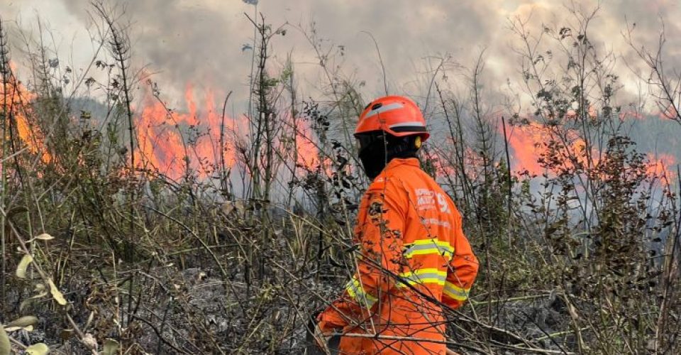 Foto: Centro de Proteção Ambiental - CBM-MS