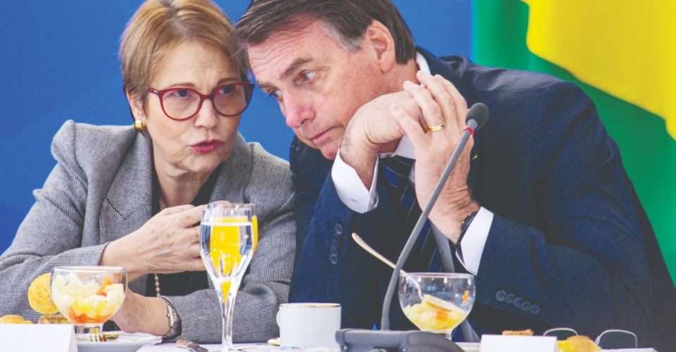 Foto: Tereza e Bolsonaro sempre estiveram unidos,
porém agora mostram posições diferentes em relação à reforma/Reprodução