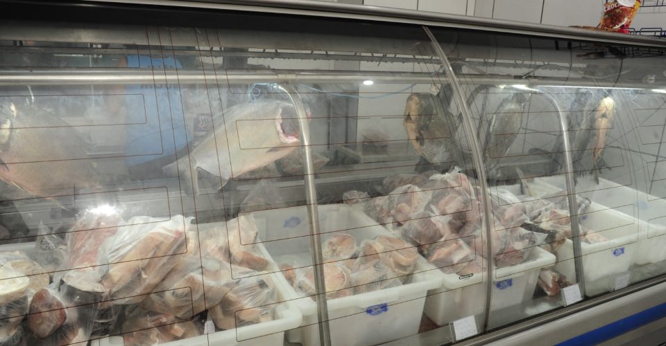 Foto: Nilson Figueiredo