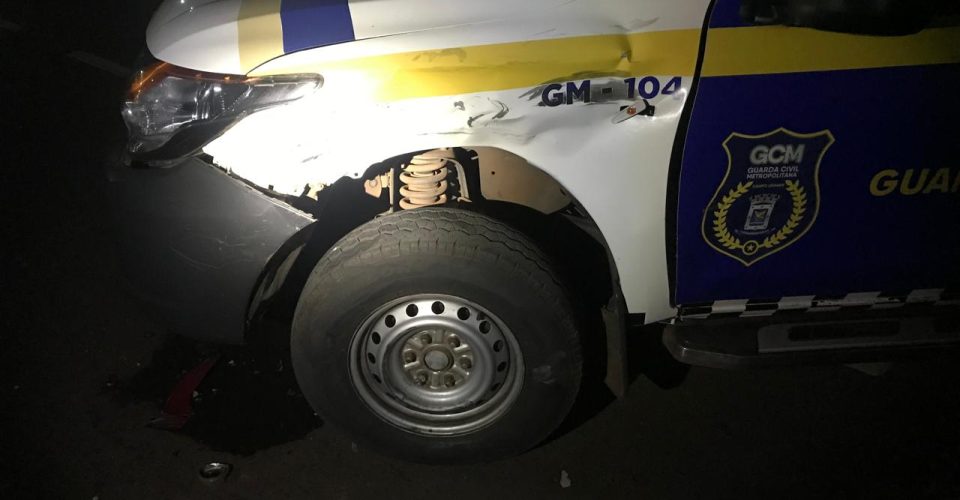 Foto: Divulgação/GCM