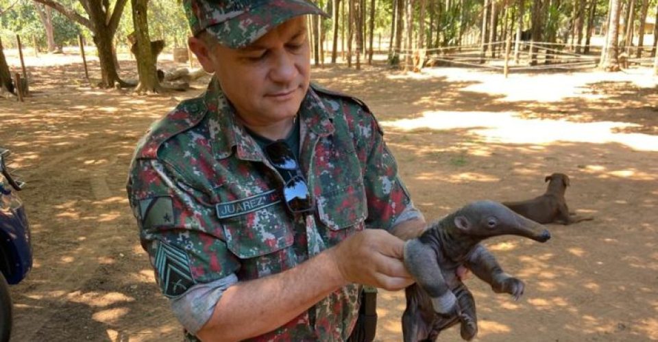 Foto: Divulgação/ Agência de notícias de MS.