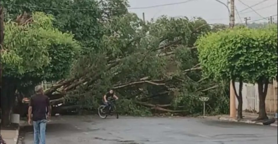 Foto: Reprodução/Cassilândia Notícias