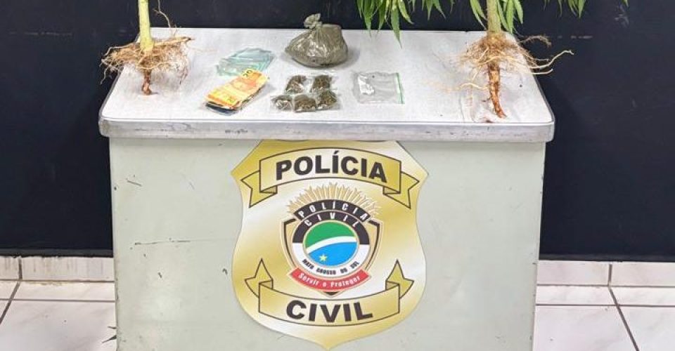 Foto: Polícia Civil