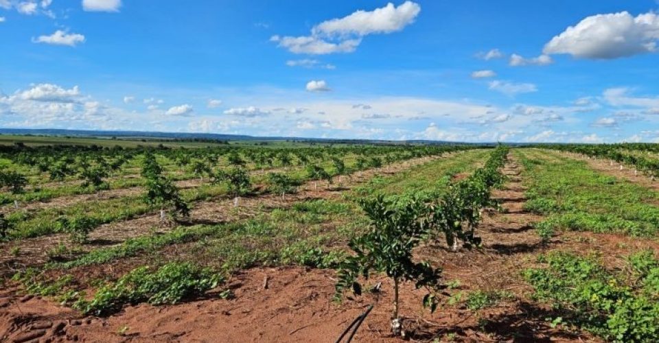 Foto: Imagem Ilustrativa/Reprodução