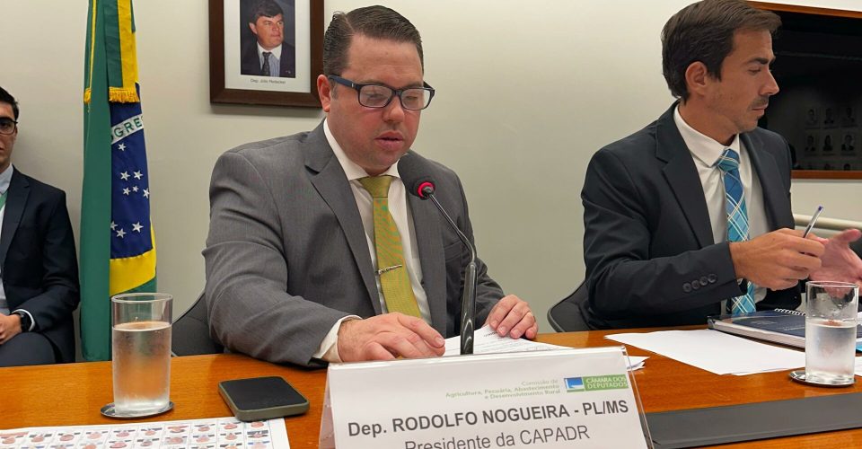 Foto: Divulgação/ assessoria de comunicação