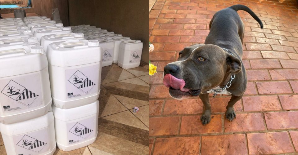 Foto: Divulgação / PMA