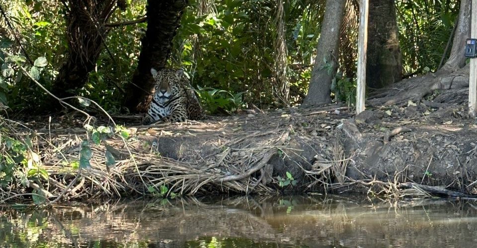 Foto: Divulgação/PMA