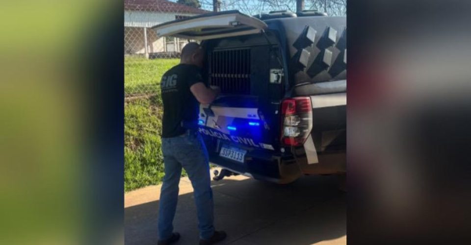 Foto: Polícia Civil/MS