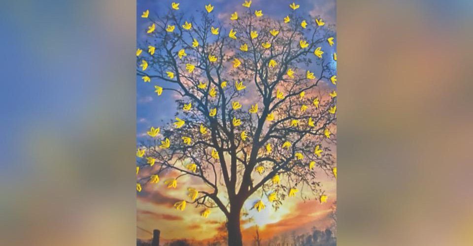 Foto: Kelly Jara/Divulgação