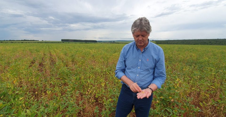 Secretário Jaime Verruck verifica a produção de soja em uma plantação de Mato Grosso do Sul - Foto: reprodução