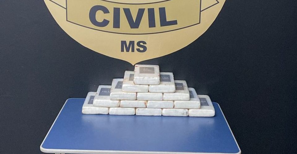 Foto: Reprodução/ Policia Civil