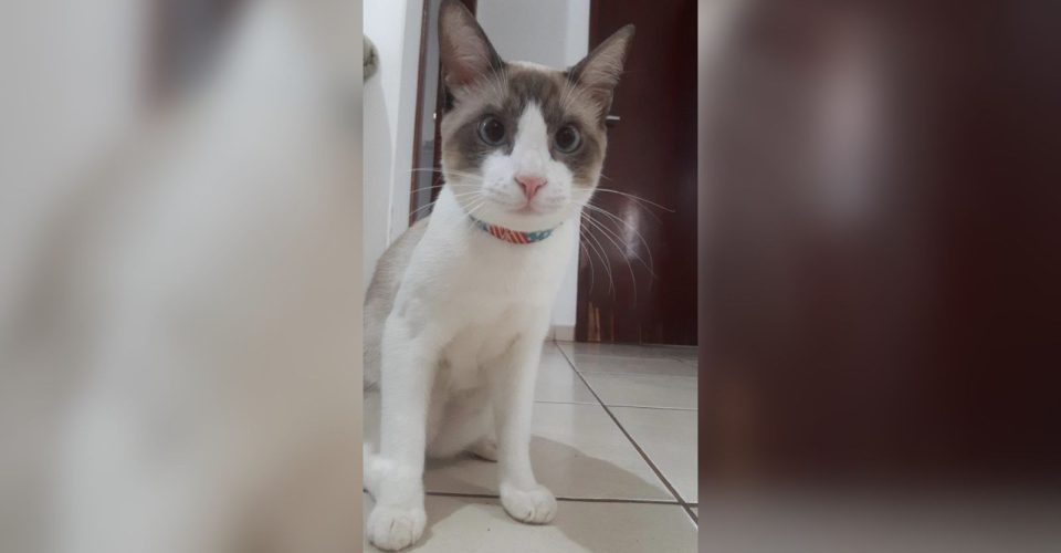 Foto: arquivo pessoal