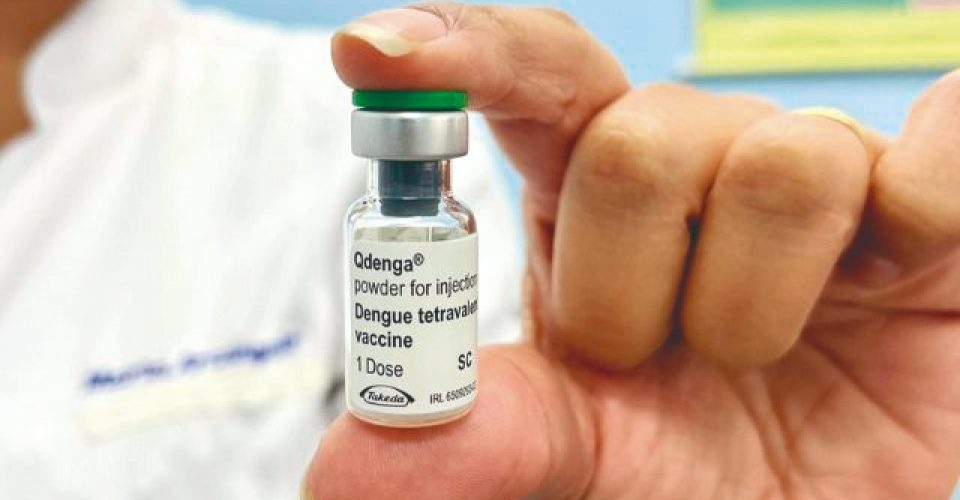 Qdenga - Foto:  Reprodução