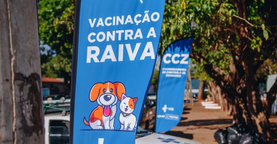 campo grande é o bicho