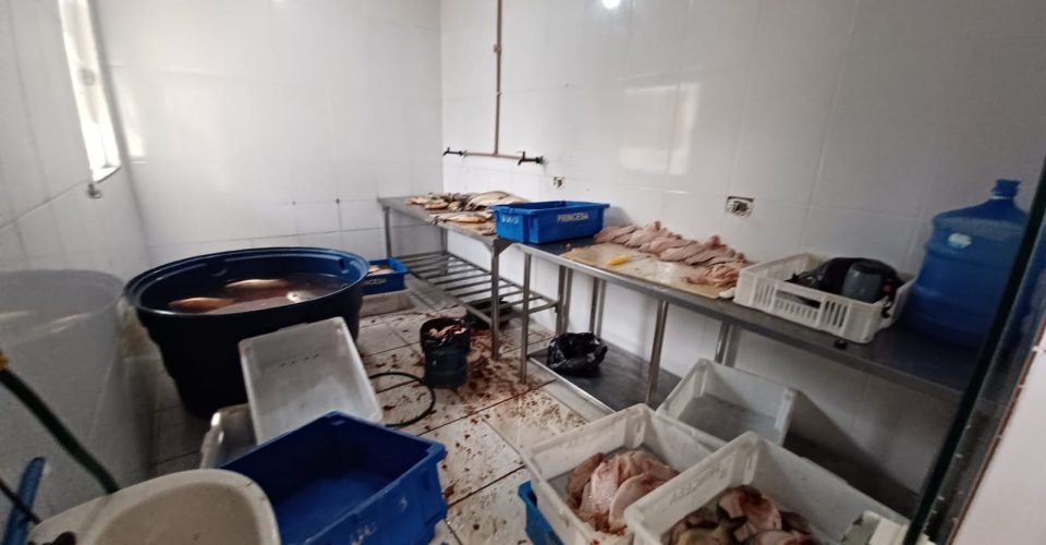 WhatsApp Image 2025-09-30 at 10.56.37