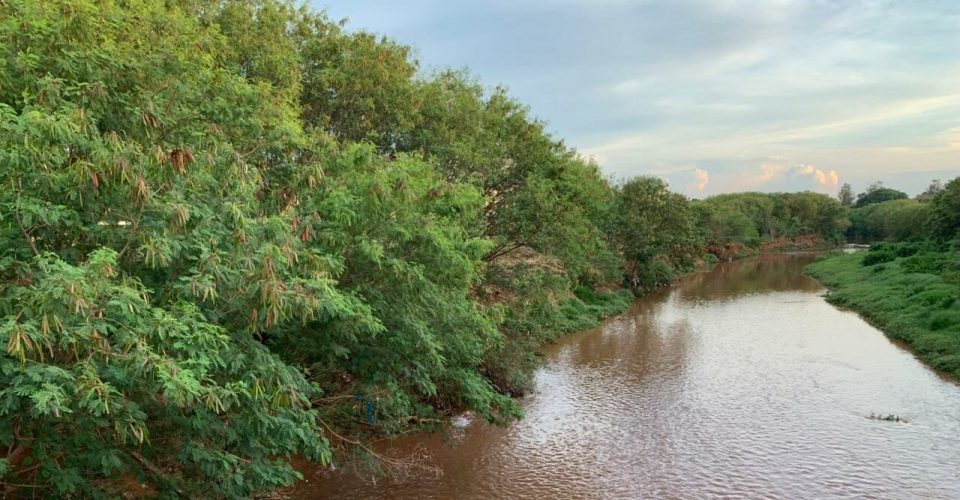 Foto: Reprodução/Leitor O Estado