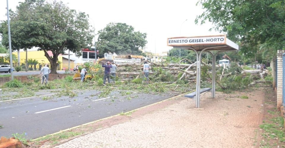 Foto: Nilson Figueiredo