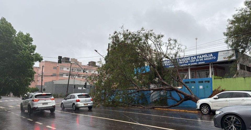 Foto: Reprodução/Leitor O Estado