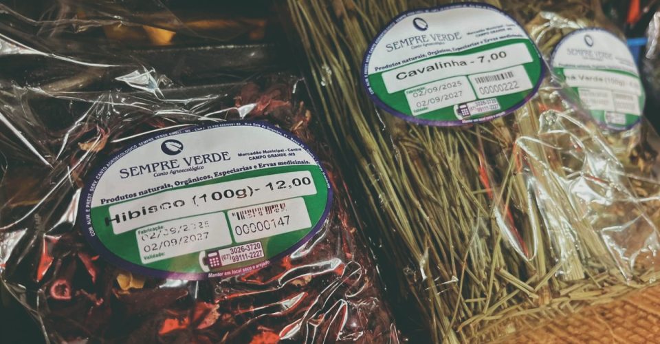 Foto: Roberta Martins