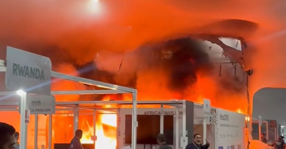 Foto: Reprodução/Diário do Pará