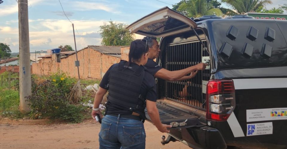 Foto: Reprodução/Policia CIivil