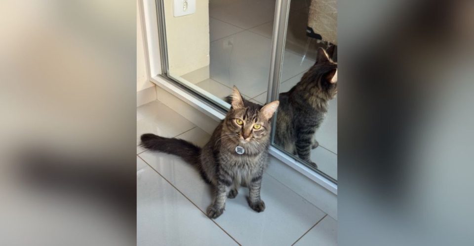 Foto: Reprodução/Arquivo Pessoal