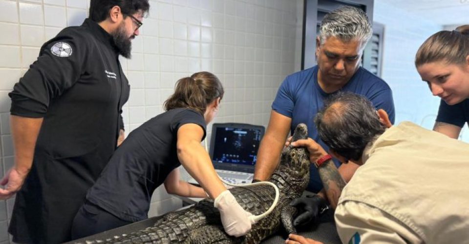 Foto: Eduardo Coutinho