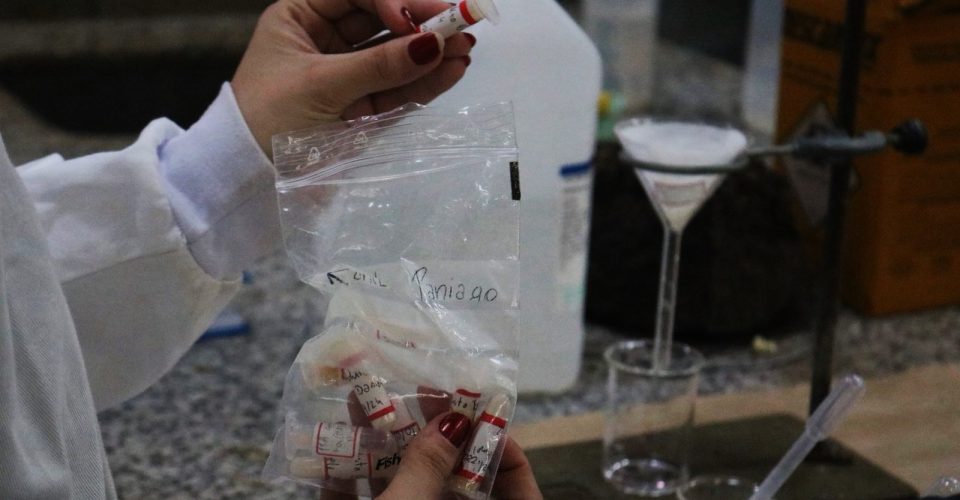 Foto: Roberta Martins