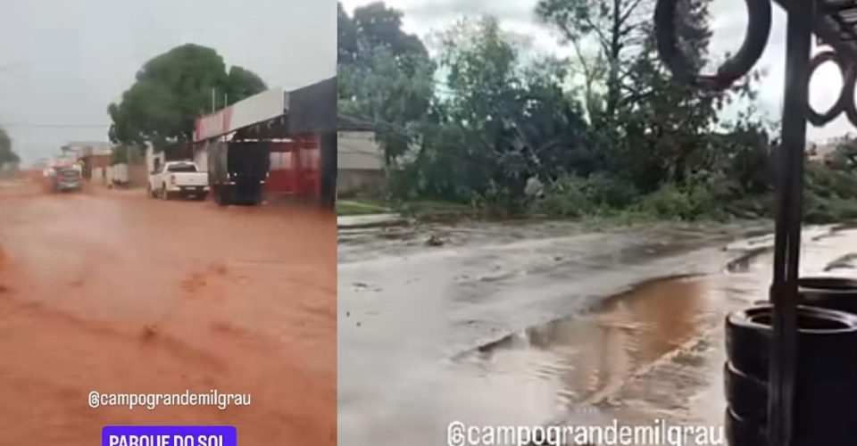 Foto: Reprodução/ @campograndemilgrau