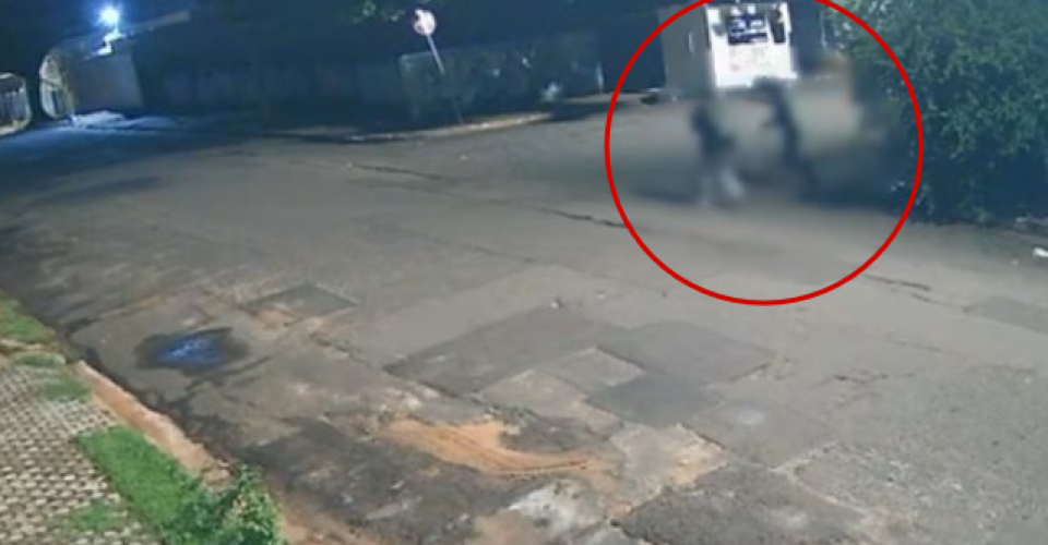 Foto: Reprodução/ Jornal A Onça