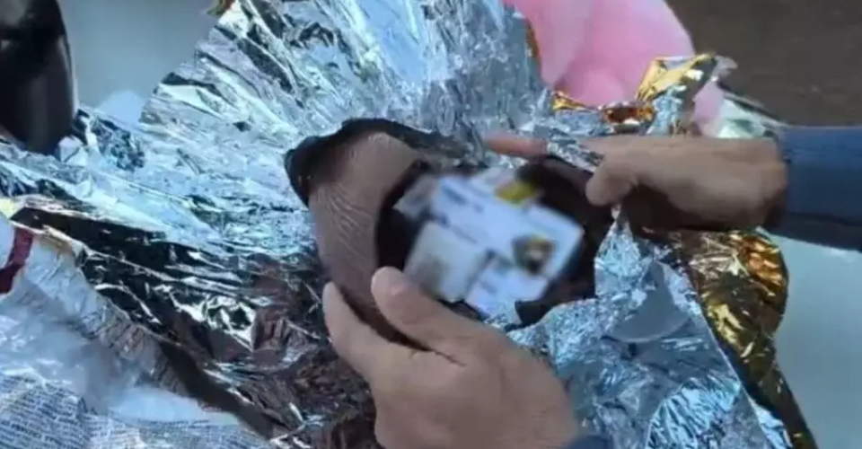 Foto: PMR-SP/Divulgação