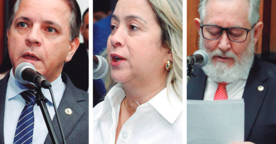 Comissão é formada pelos deputados Coronel David, que coordena, Lia Nogueira e Antonio Vaz - Foto: Alems