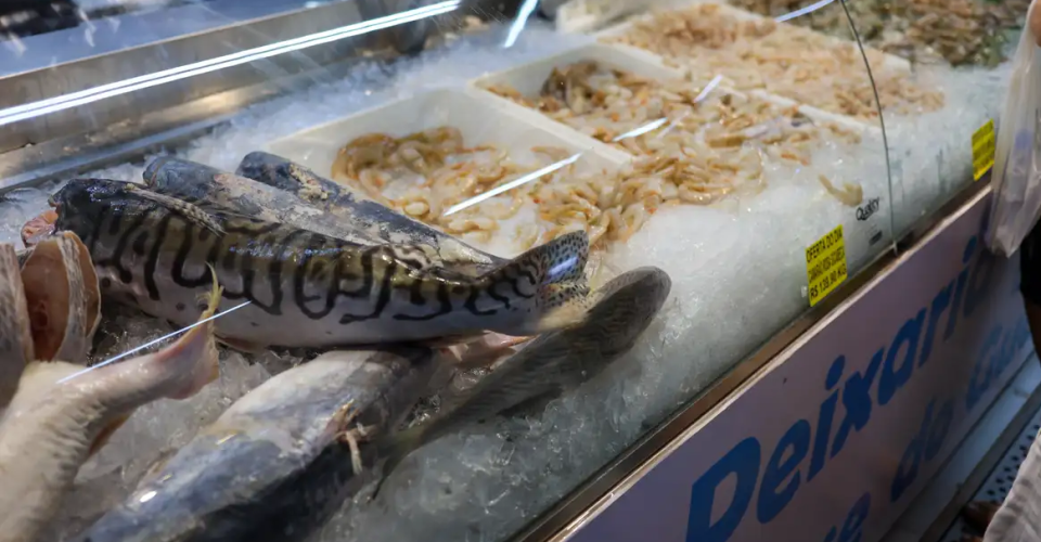 Foto: Fabio Rodrigues-Pozzebom/ Agência Brasil