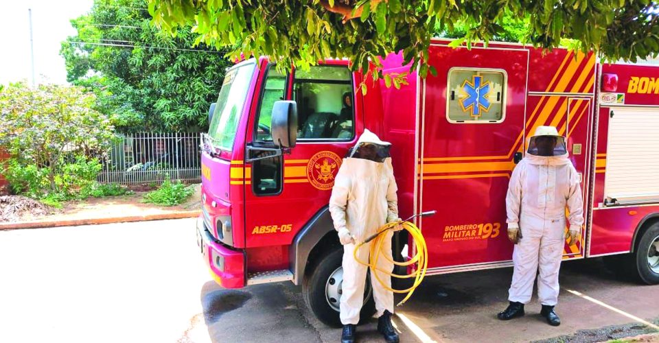 Bombeiros são
preparados para
realizar a retirada de
enxames em segurança - Foto: Reprodução/CBMMS