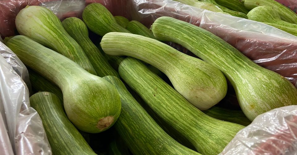 Foto: Divulgação/Ceasa-MS