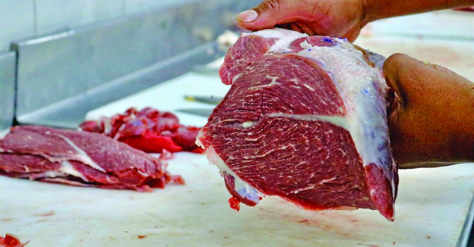 Foto: Roberta Martins