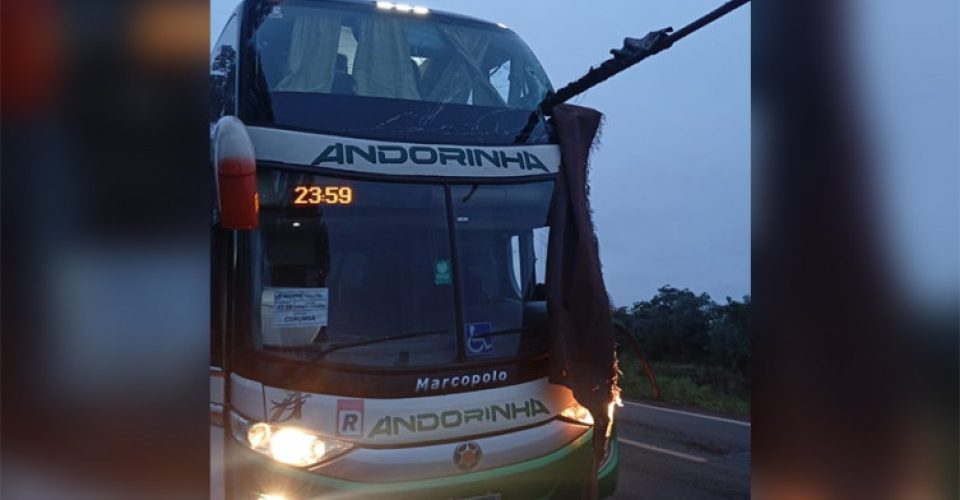 Foto: Reprodução/Diário Corumbaense