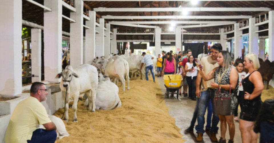 Na reta final dos preparativos Exogrande já é uma das mais importantes do país