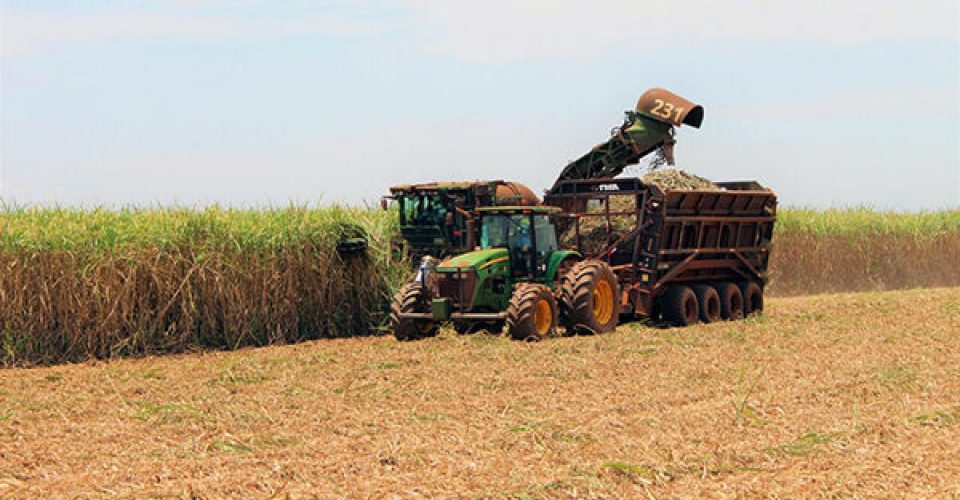 Decreto do Governo é bem recebido pelo setor sucroalcoleiro