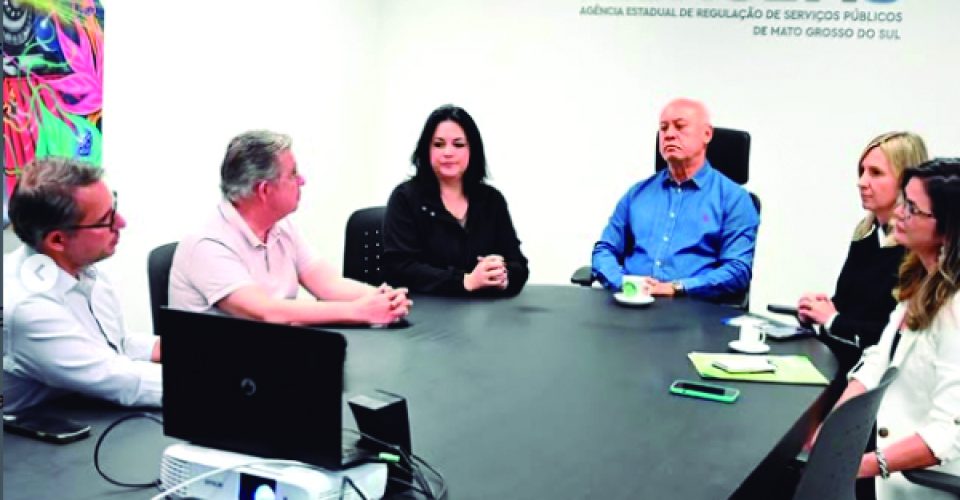 Encontro discute também soluções conjuntas para o desenvolvimento do mercado de créditos de carbono - Foto: Reprodução