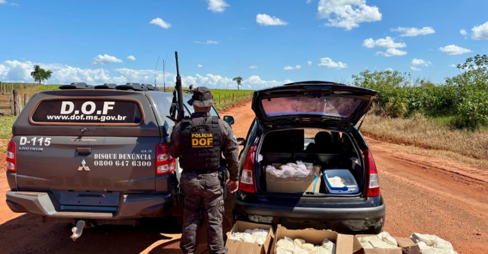 Foto: Divulgação/DOF