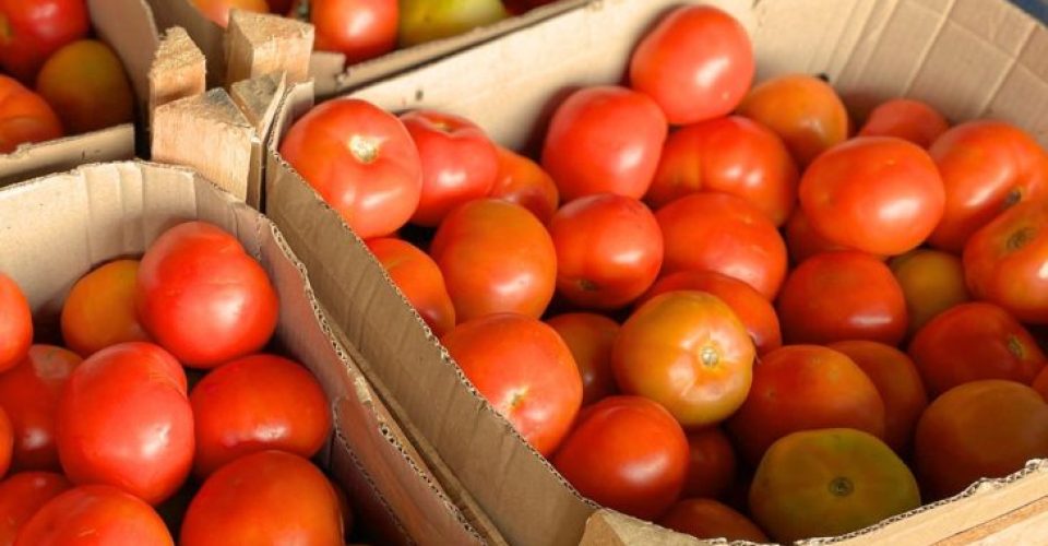 Foto: Comunicação Ceasa