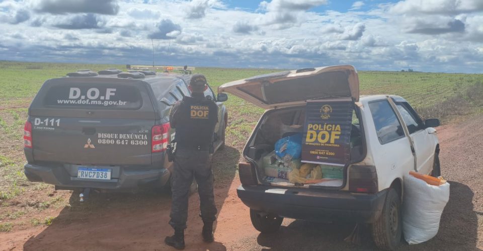 Foto: Divulgação/DOF