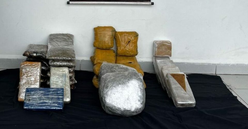 Foto: Divulgação/DOF